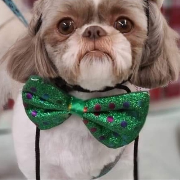 Meet your Posher, Samantha - Picture 1 of 1